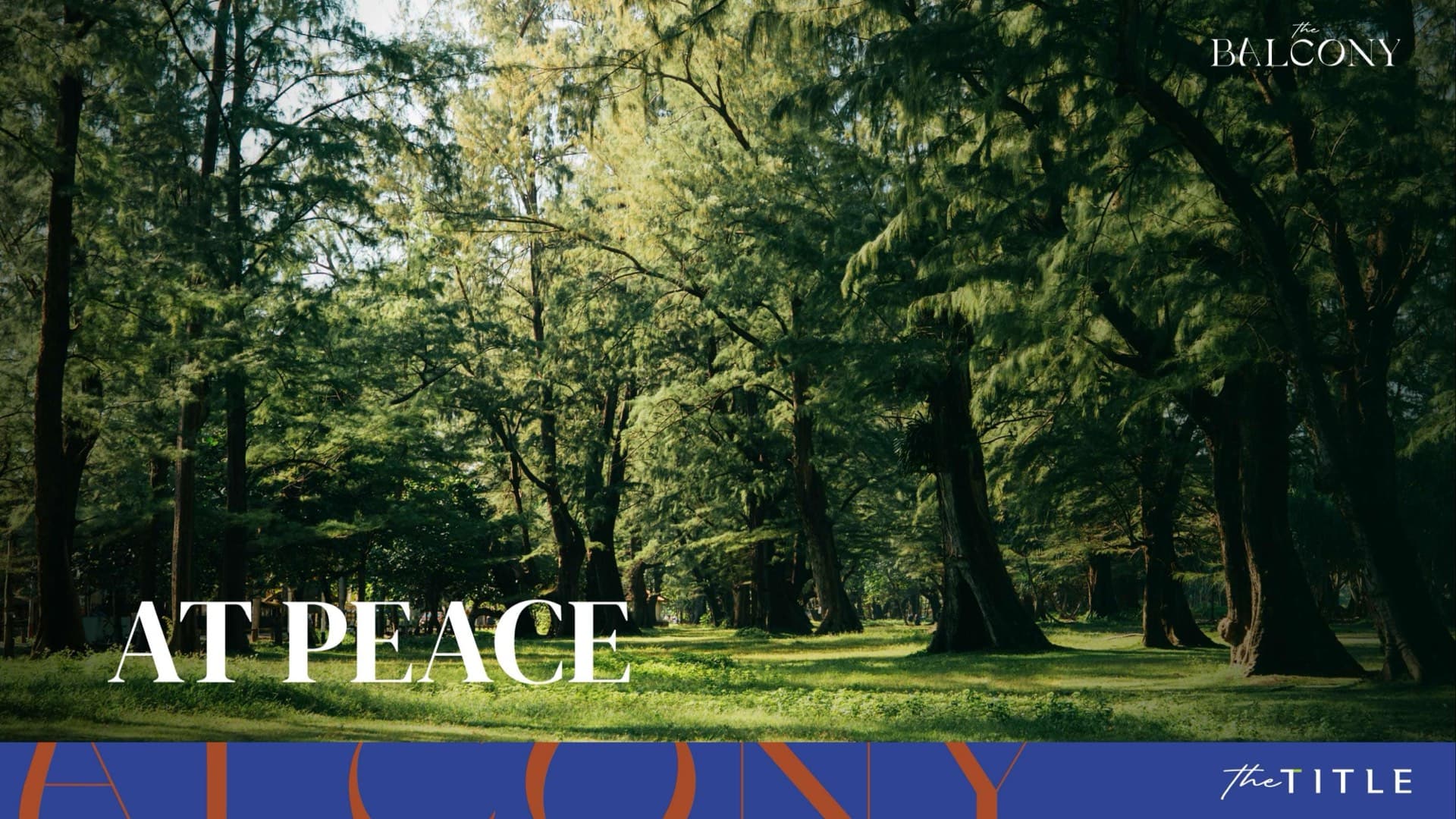 THE BALCONY gallery 6